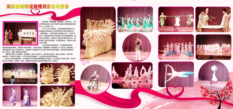 湖南欧亚国际赞助燕赵·恒爱残疾人艺术团圆满演出